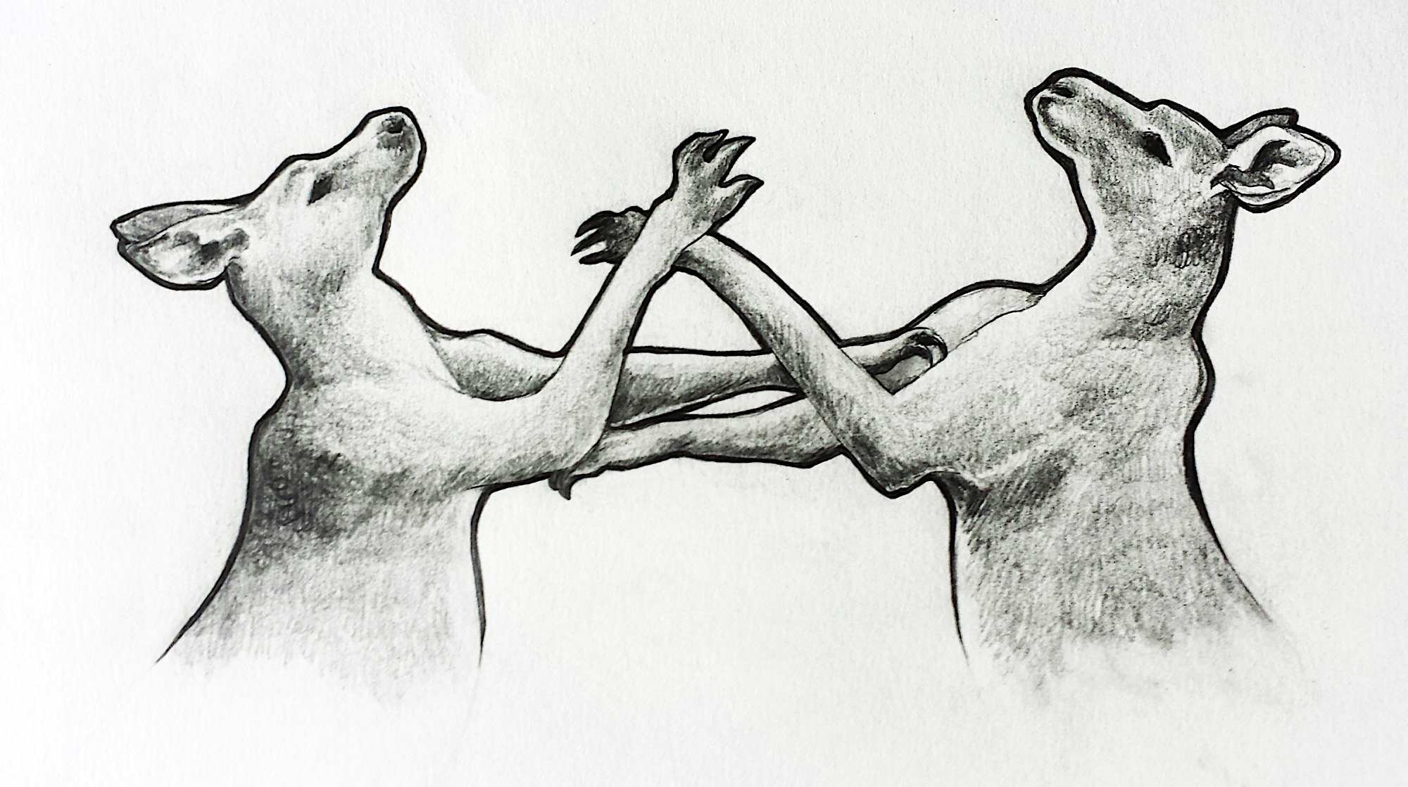 Illustration by Leigh Douglas