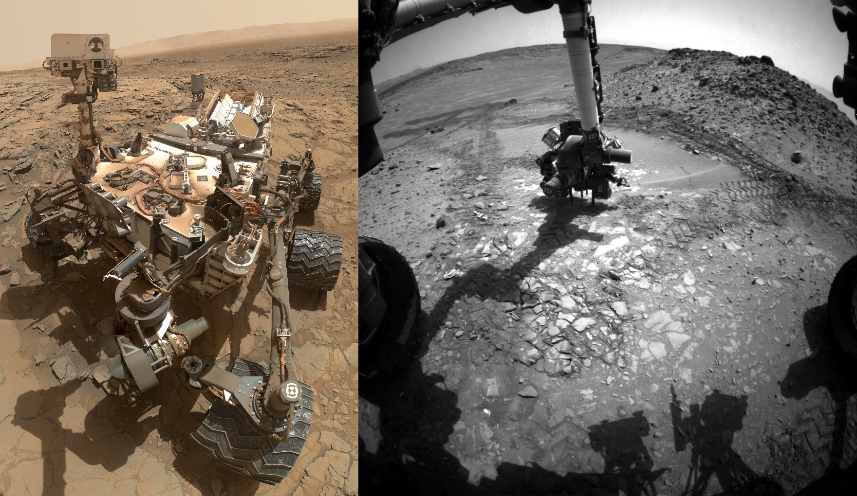 NASA's Curiosity rover may well have carried microscopic hitchhikers onto the Red Planet. NASA/Wikimedia Commons (public domain); NASA/JPL-Caltech/Wikimedia Commons (public domain)