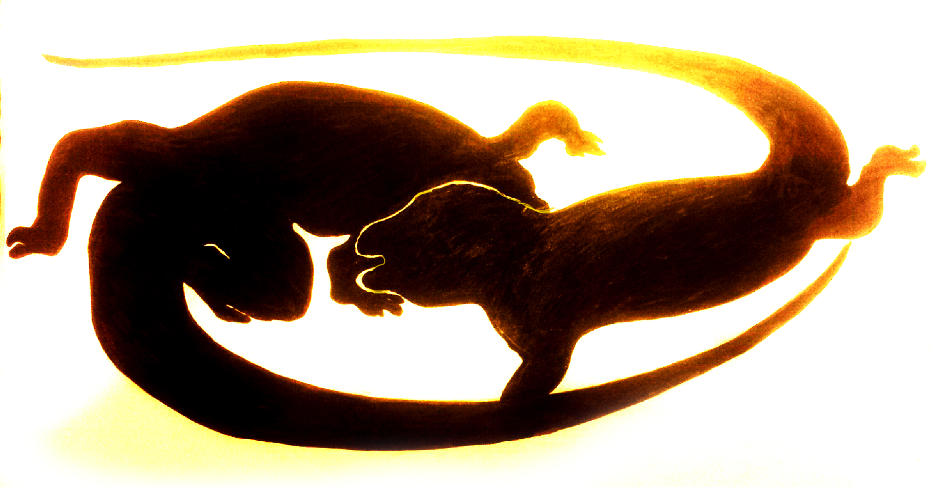 Illustration by Leigh Douglas