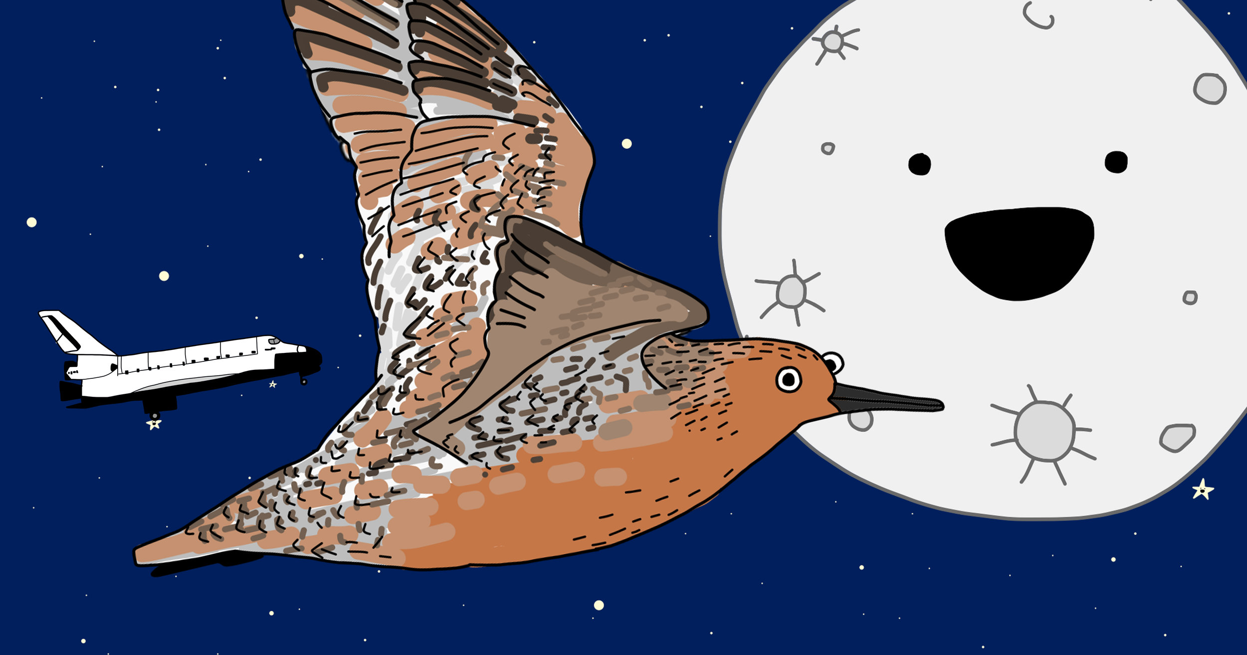 Illustration by Amellia Formby
