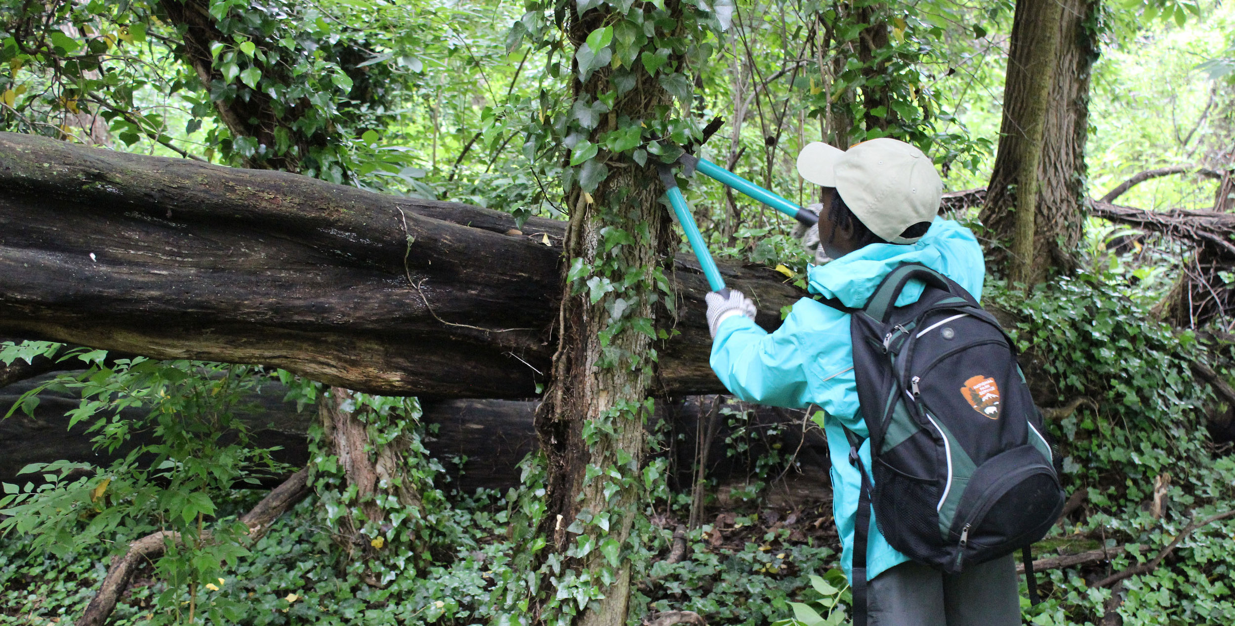 Citizen science can take the form of programs that enlist the public to participate in research for conservation. NPS Photo (public domain)