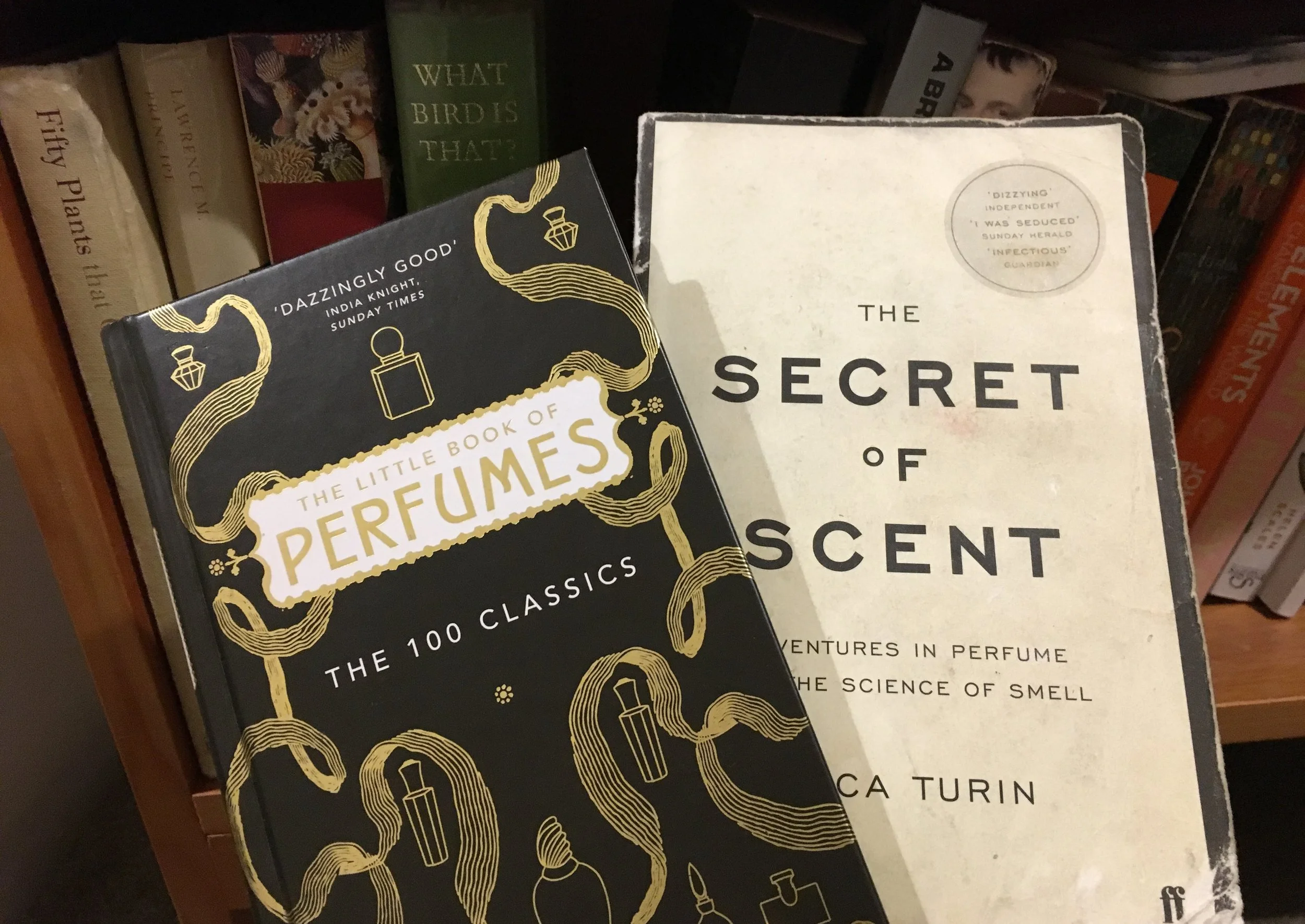 Tessa's copies of Luca Turin's books. Note that one is a little worse for wear after being dropped in the bath. Author provided