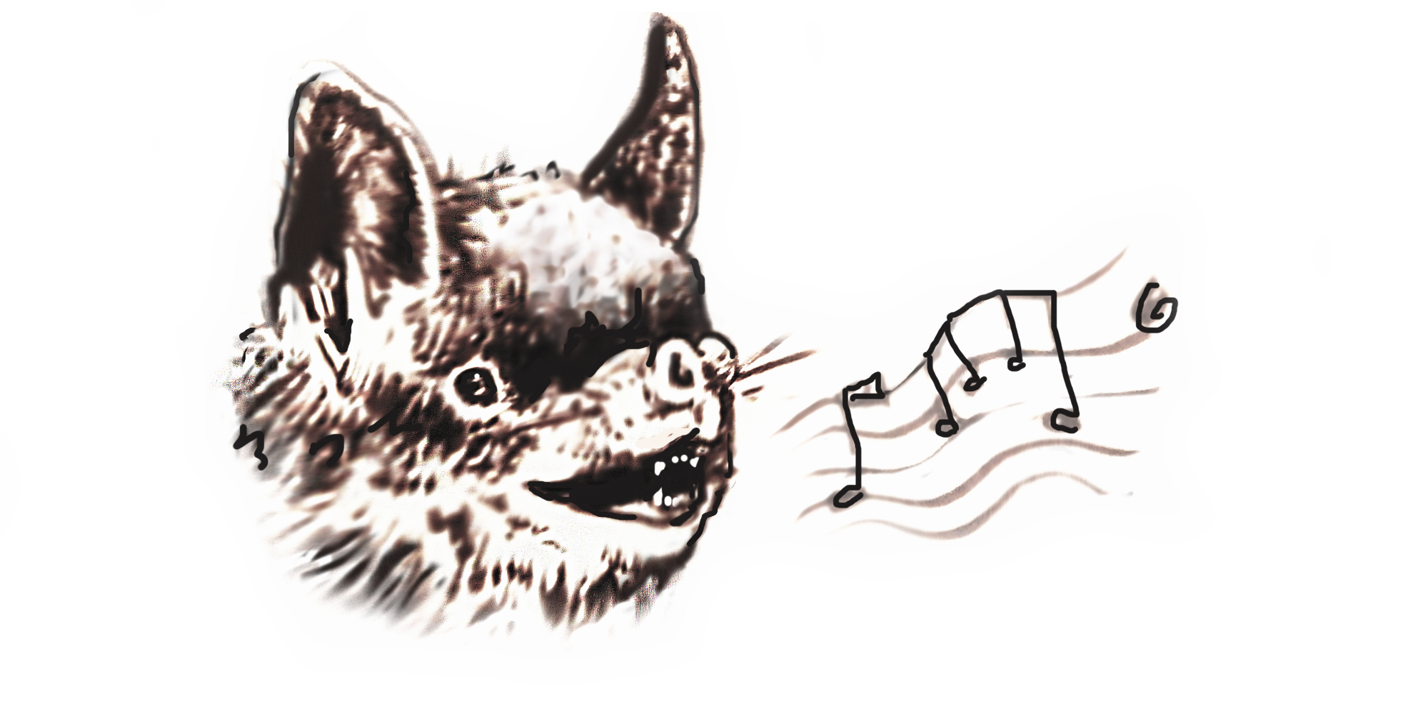 Illustration by Leigh Douglas