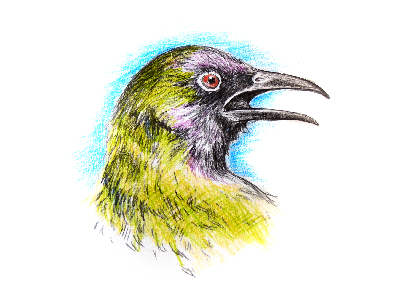Illustration by Leigh Douglas