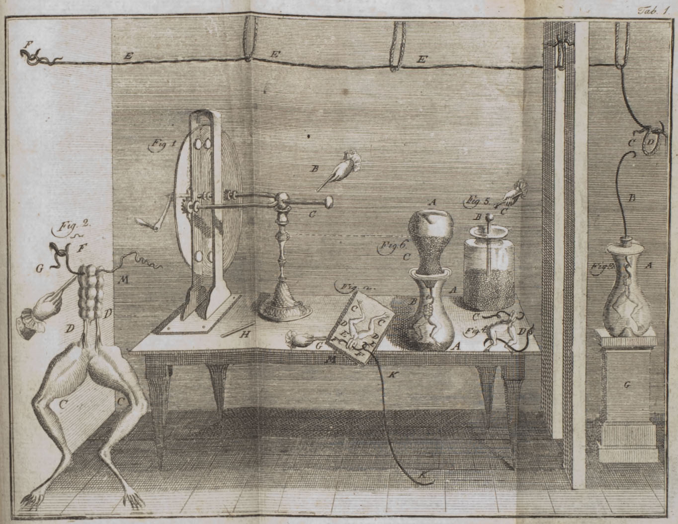 An illustration of Galvani's frog leg experiment that appeared in his treatise De viribus electricitatis in motu musculari. Wikimedia Commons (public domain)