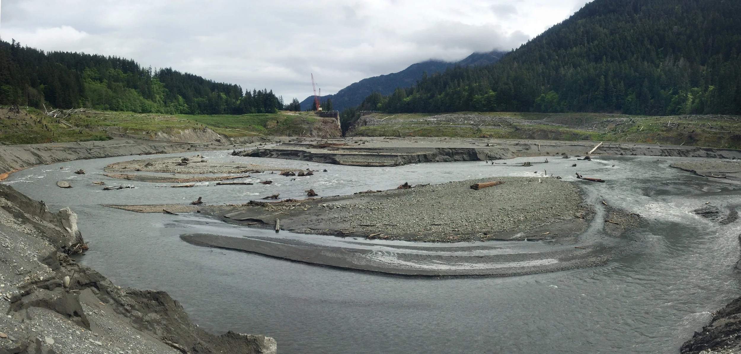 Dams are a powerful illustration of how we harness nature's power. But what happens when we give that power back? The Elwha River, post dam removal . © Emily Eidam (used with permission)