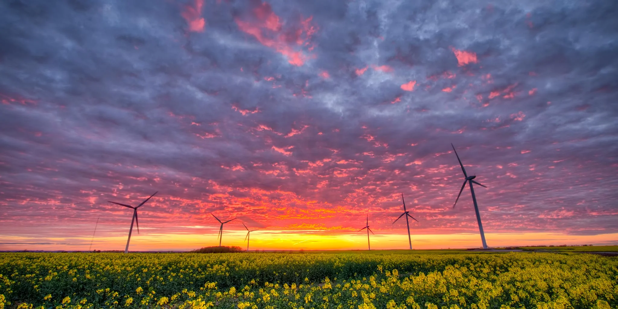 To address climate change, countries are increasingly using renewable energies like wind and solar power. Tommy Clark/Flickr (CC BY-NC-ND 2.0)