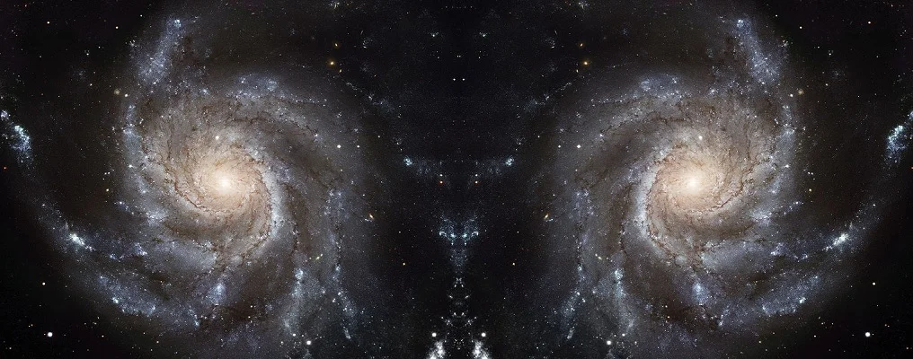 One focus of the Galaxy Zoo citizen science project is in how galaxies rotate — as in this Hubble Space Telescope image of the Messier 101 galaxy in its normal orientation and reversed. The project has so far made over 125 million classifications. European Space Agency & NASA/ Wikimedia (CC BY 3.0)