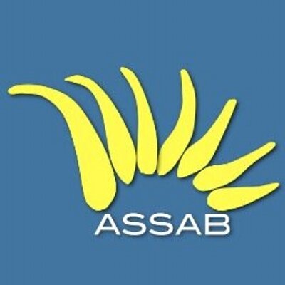 ASSAB logo.jpeg
