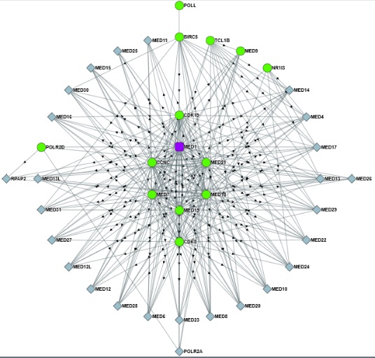 This graph, made by Dr.Steven Gygi’s lab at Harvard Medical School, shows the interaction network for a single protein. Each line represents an interaction between two proteins. Wikimedia Commons/Bioplex (CC BY-SA 4.0)
