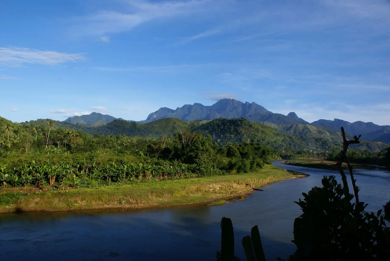 On the ground, it can be difficult to gauge the extent of habitat change over years or decades. Eric Mathieu/Wikimedia Commons (CC BY-SA 3.0)