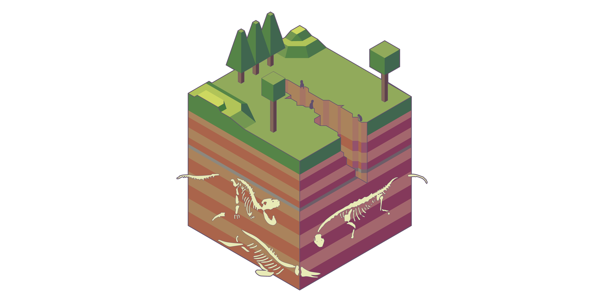 Illustration by Ben Coy.