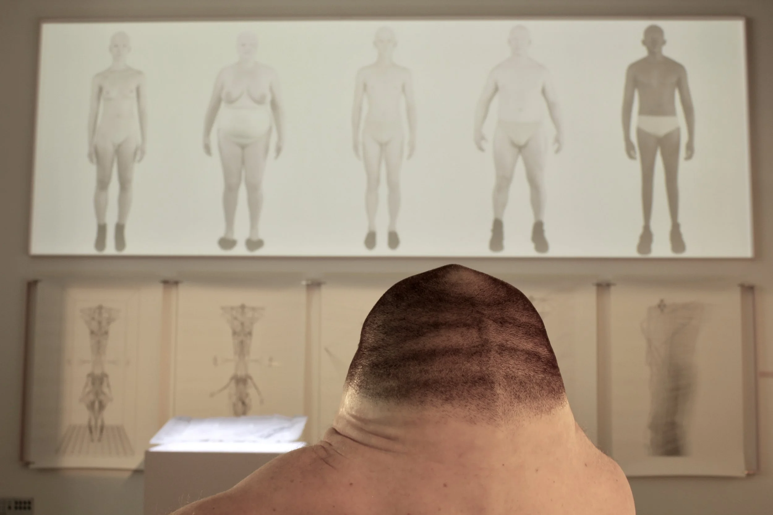 Graham the car crash model looks upon the changing bodies and genetic alterations in Genetic Gym © Patricia Piccinini & Adam Peacock (Photograph by author)
