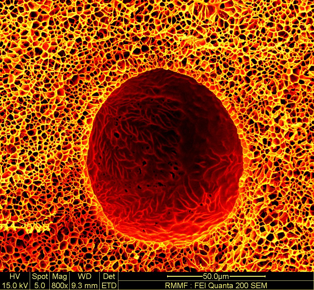 ‘Microscopic Spaghetti Bubble’, by RMIT University PhD student Mitchell Boyd-Boss, was the first prize winner. Image depicts microscopic bubbles in the context of tissue engineering.
