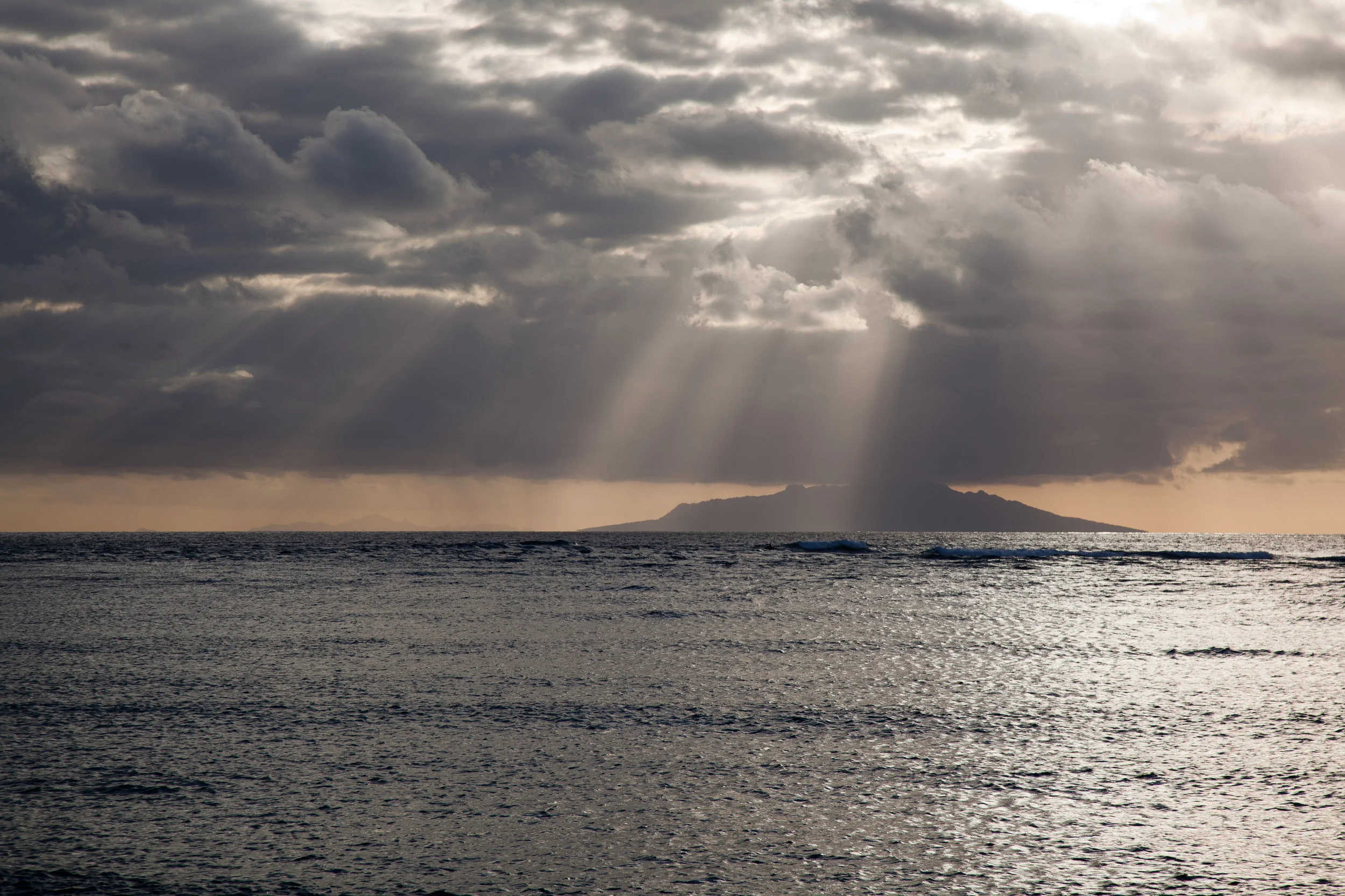 Little Barrier Island provides a safe haven for countless native species, many of them threatened across New Zealand. russellstreet/Flickr (CC BY-SA 2.0)