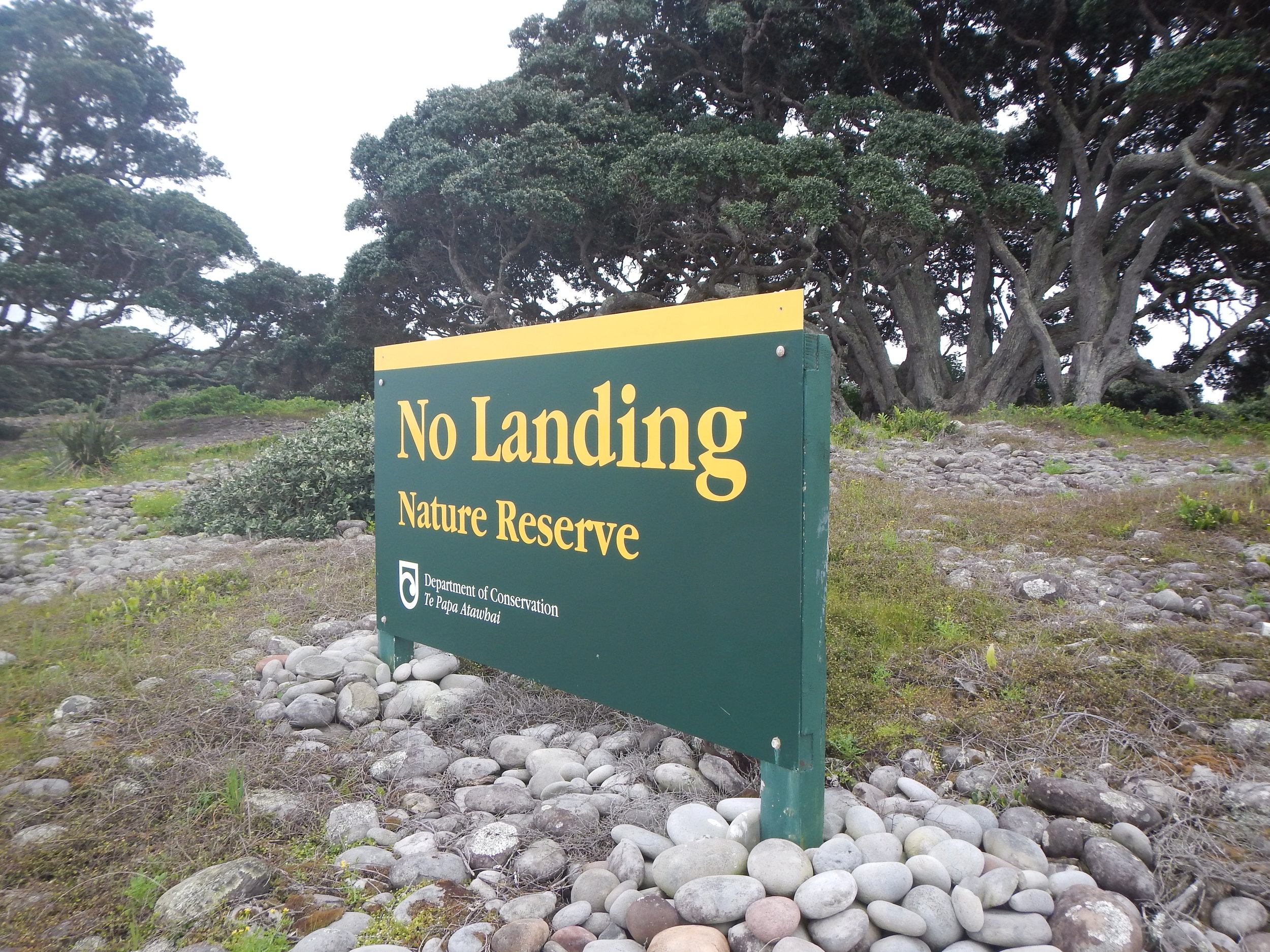  Little Barrier Island has strict quarantine procedures and visitor restrictions. ©  Eli Sooker 