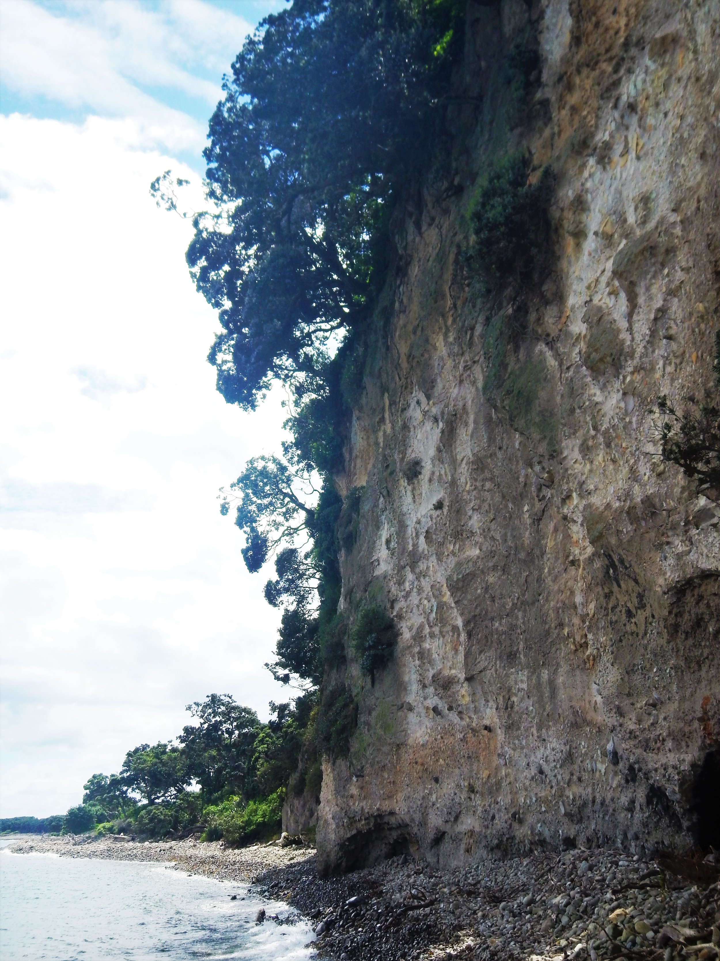  Steep cliffs are a prominent feature of the island. © Eli Sooker 