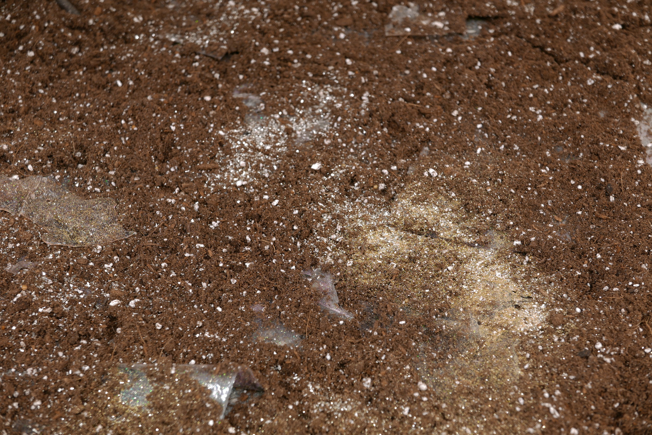   Closed Time-Like Curves,  2018  Epson UltraChrome Ink, Paper, Resin, Glitter, Dirt, Tree Branch 