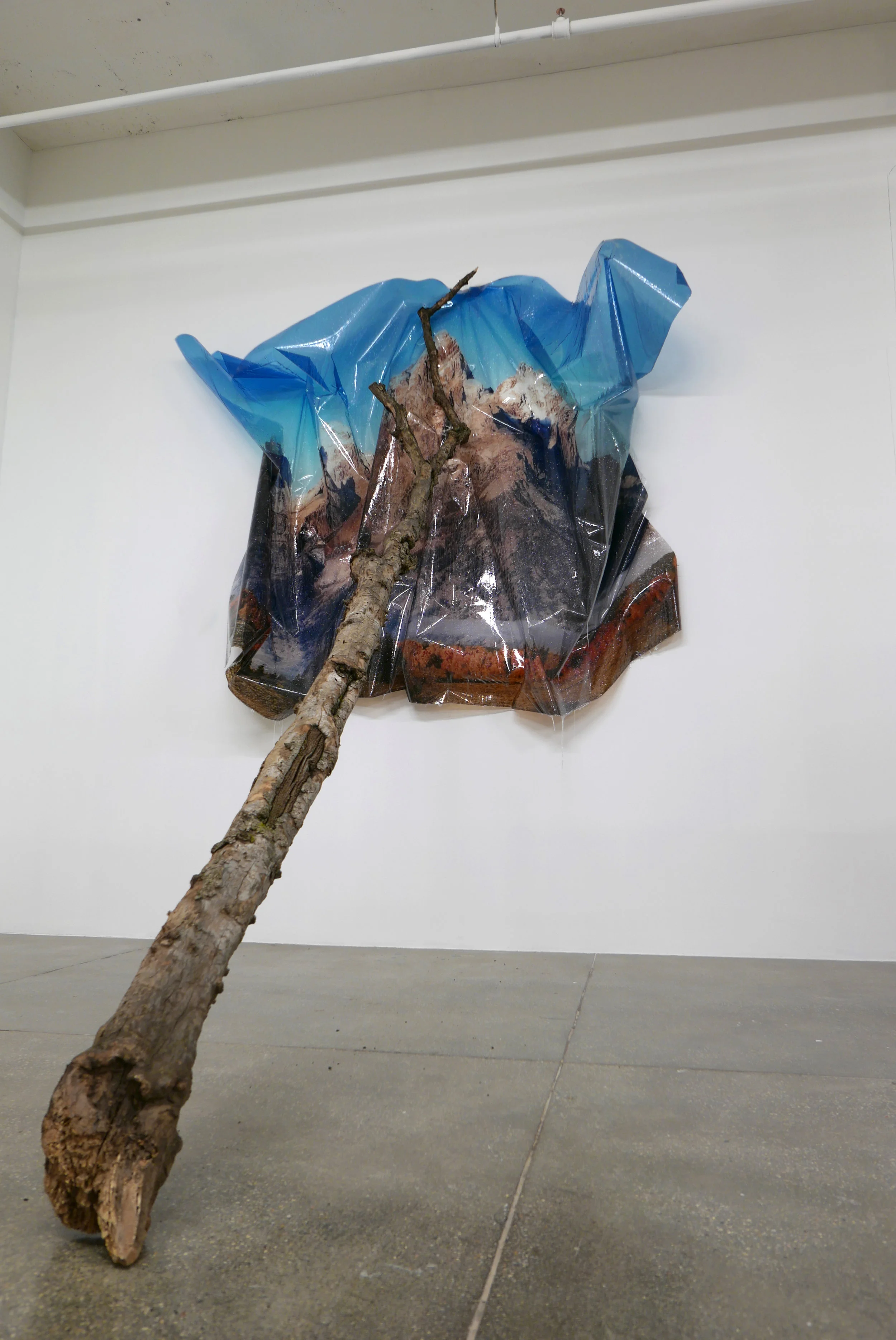   An Uninterrupted Series of Surges,  2019  Epson Ultrachrome Ink, Film, Resin, Glitter, Log 