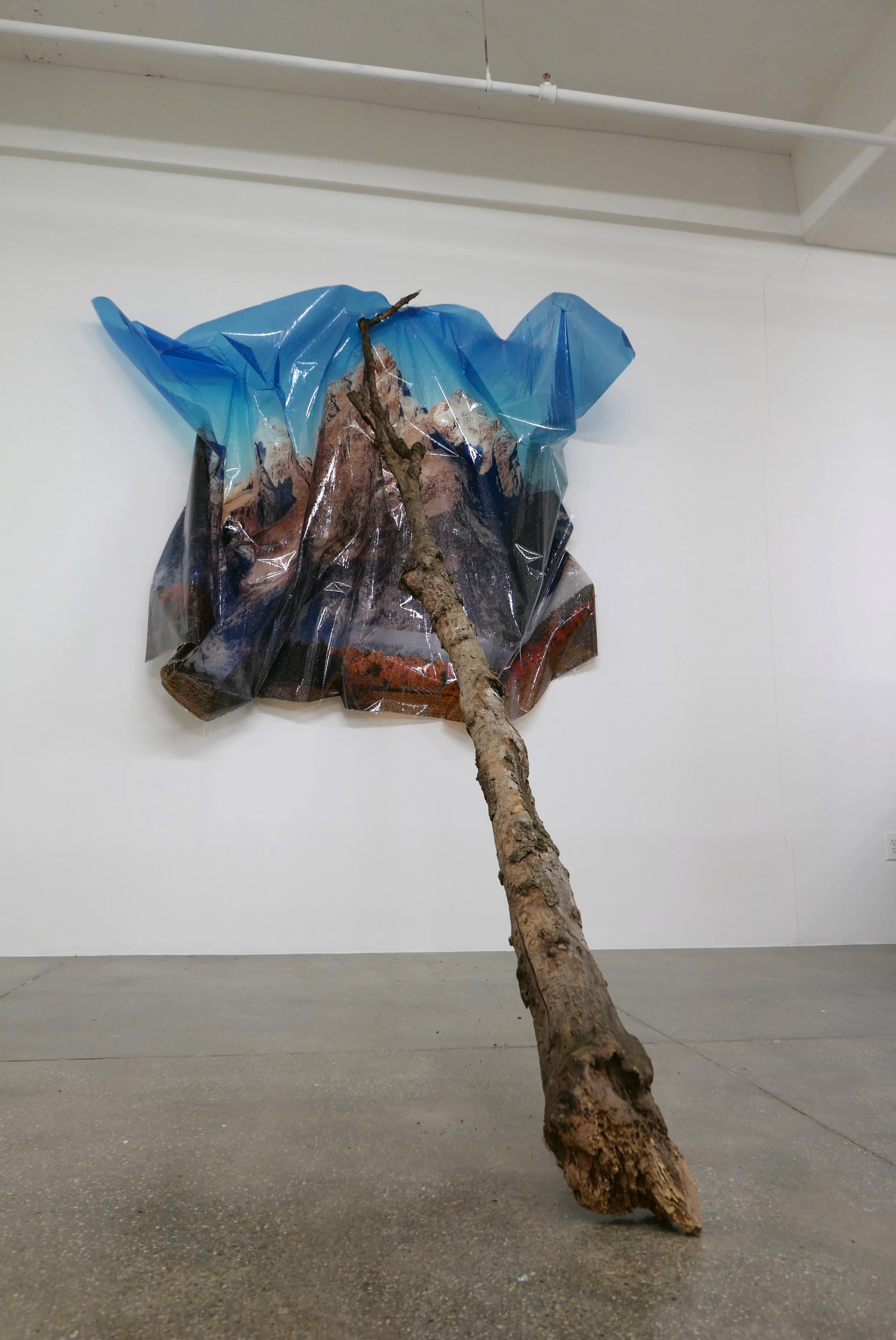   An Uninterrupted Series of Surges,  2019  Epson Ultrachrome Ink, Film, Resin, Glitter, Log 