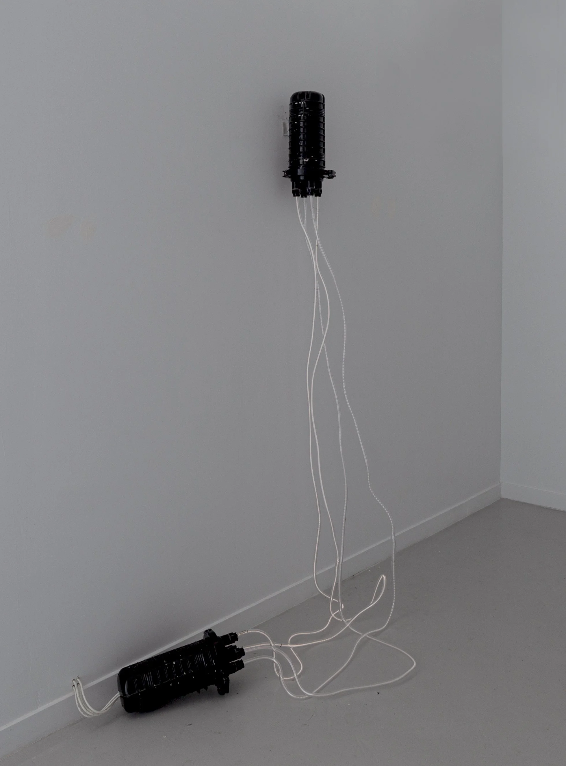 DTemchulla_Neon2_86x28x50_3quarterview.jpg