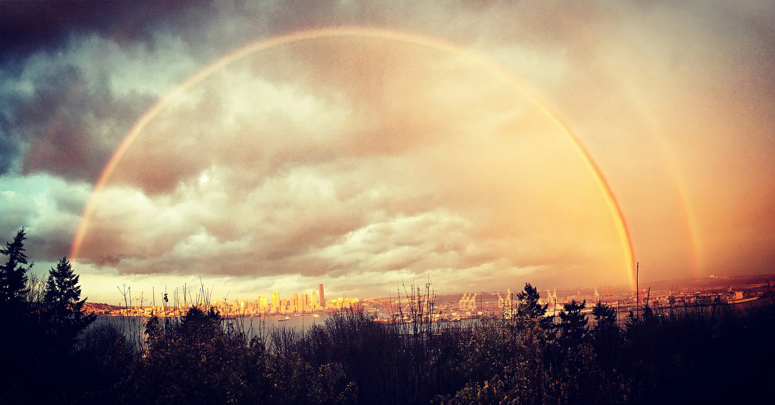 rainbow web.jpg