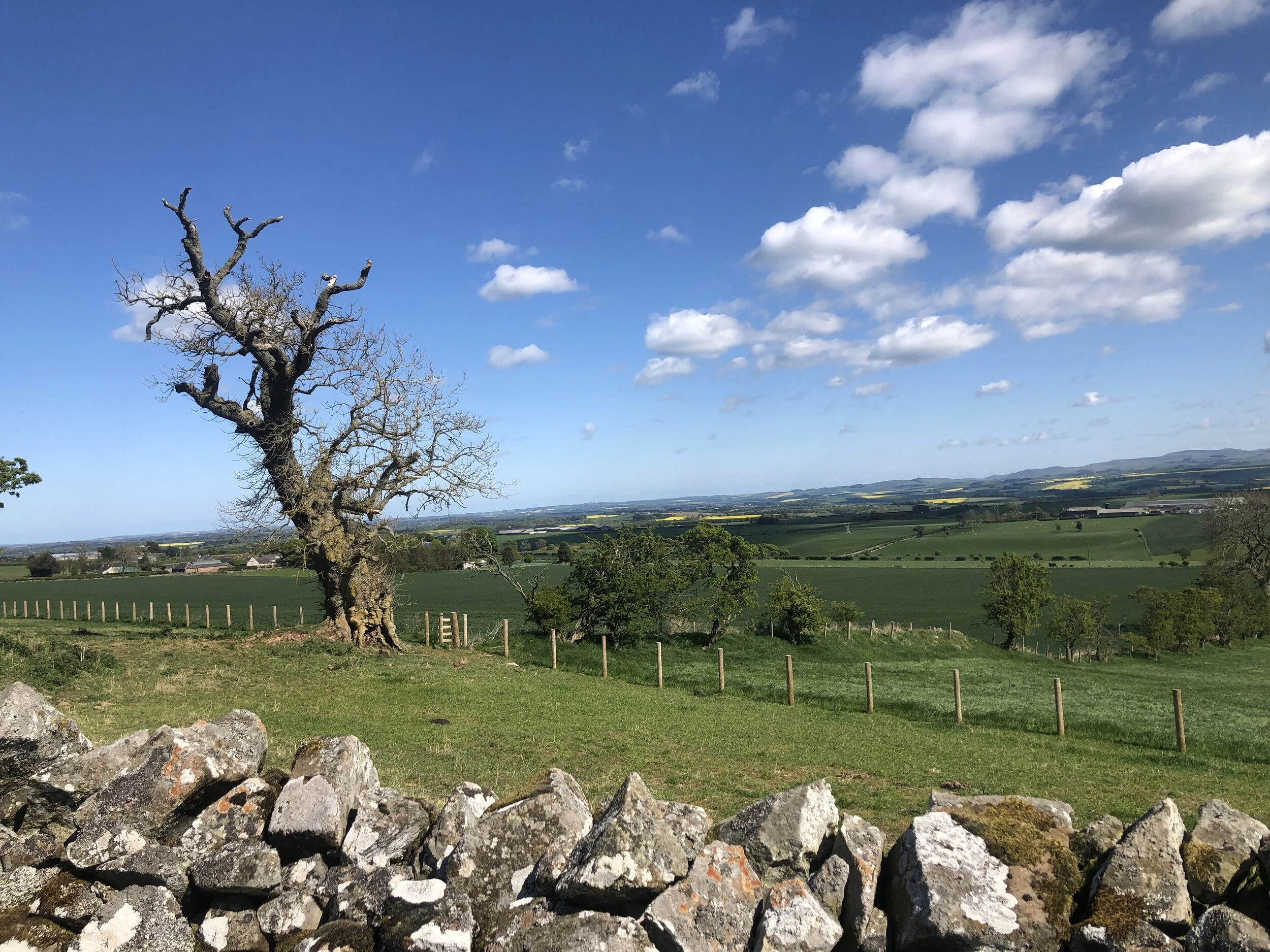 5 Discoveries I’ve (Re-)Made During Isolation