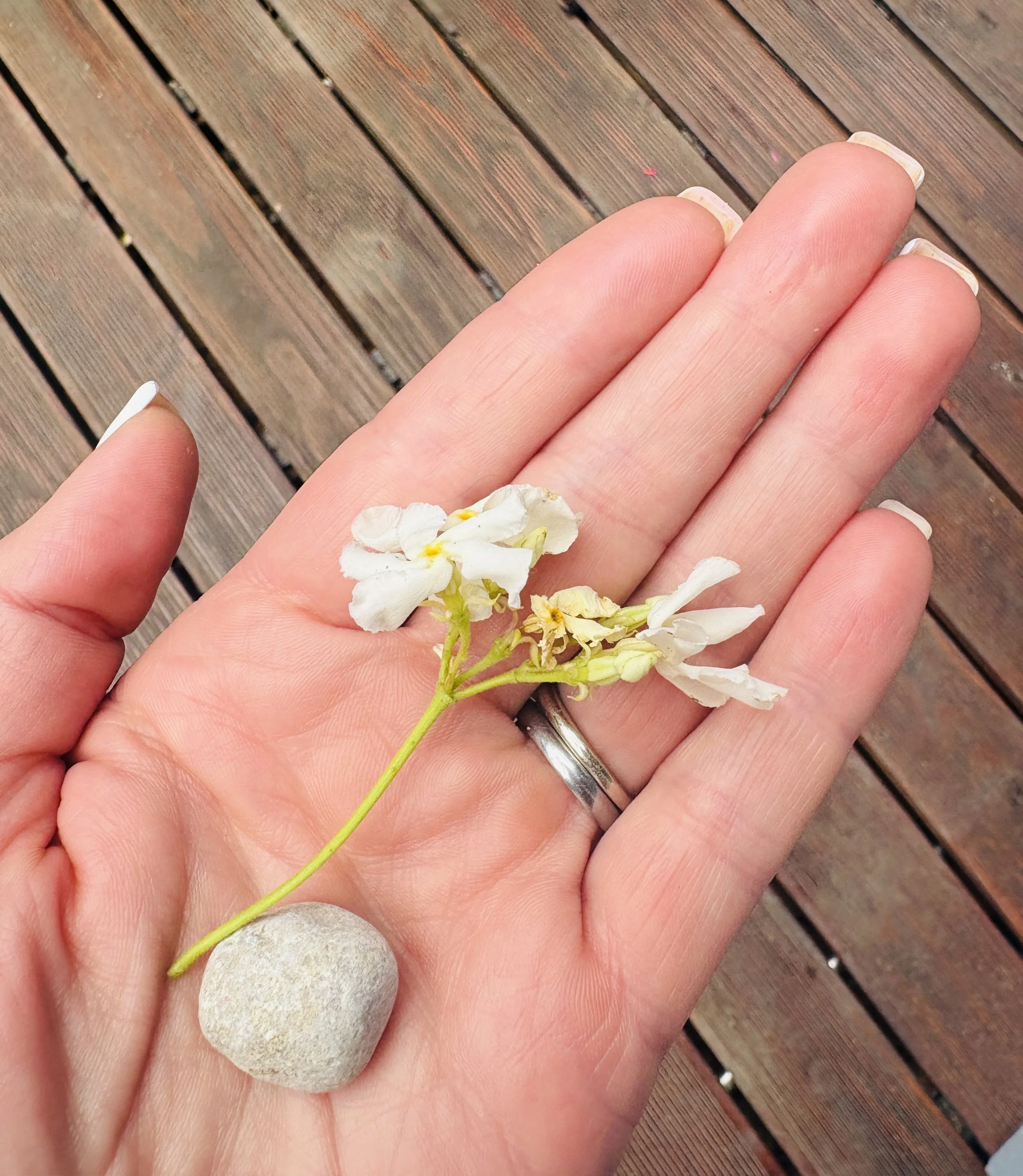 Found in my Pockets