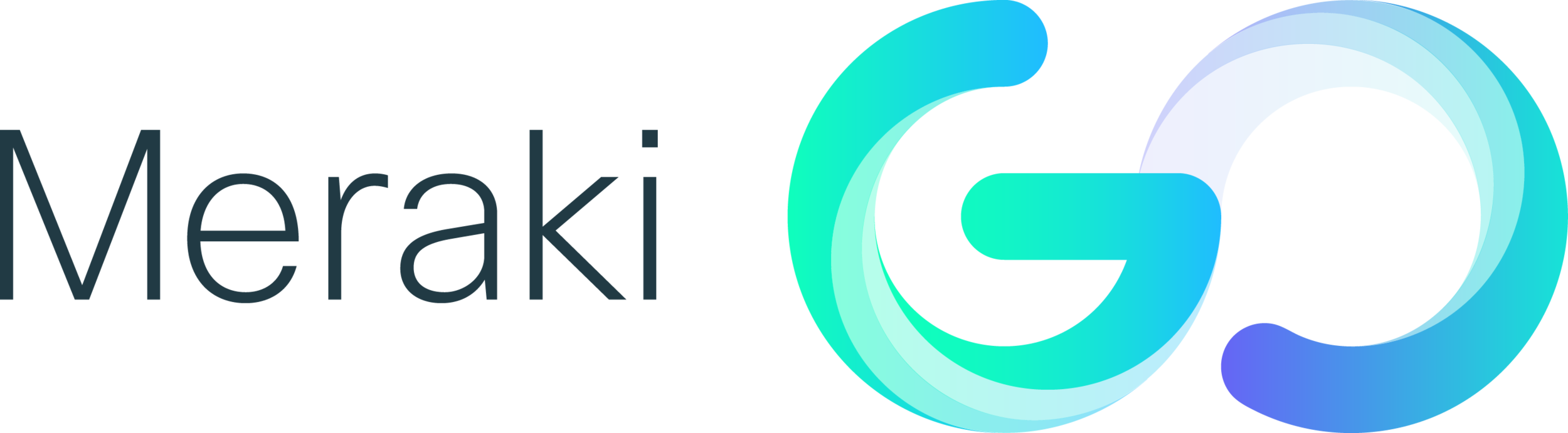 meraki-go_color.png