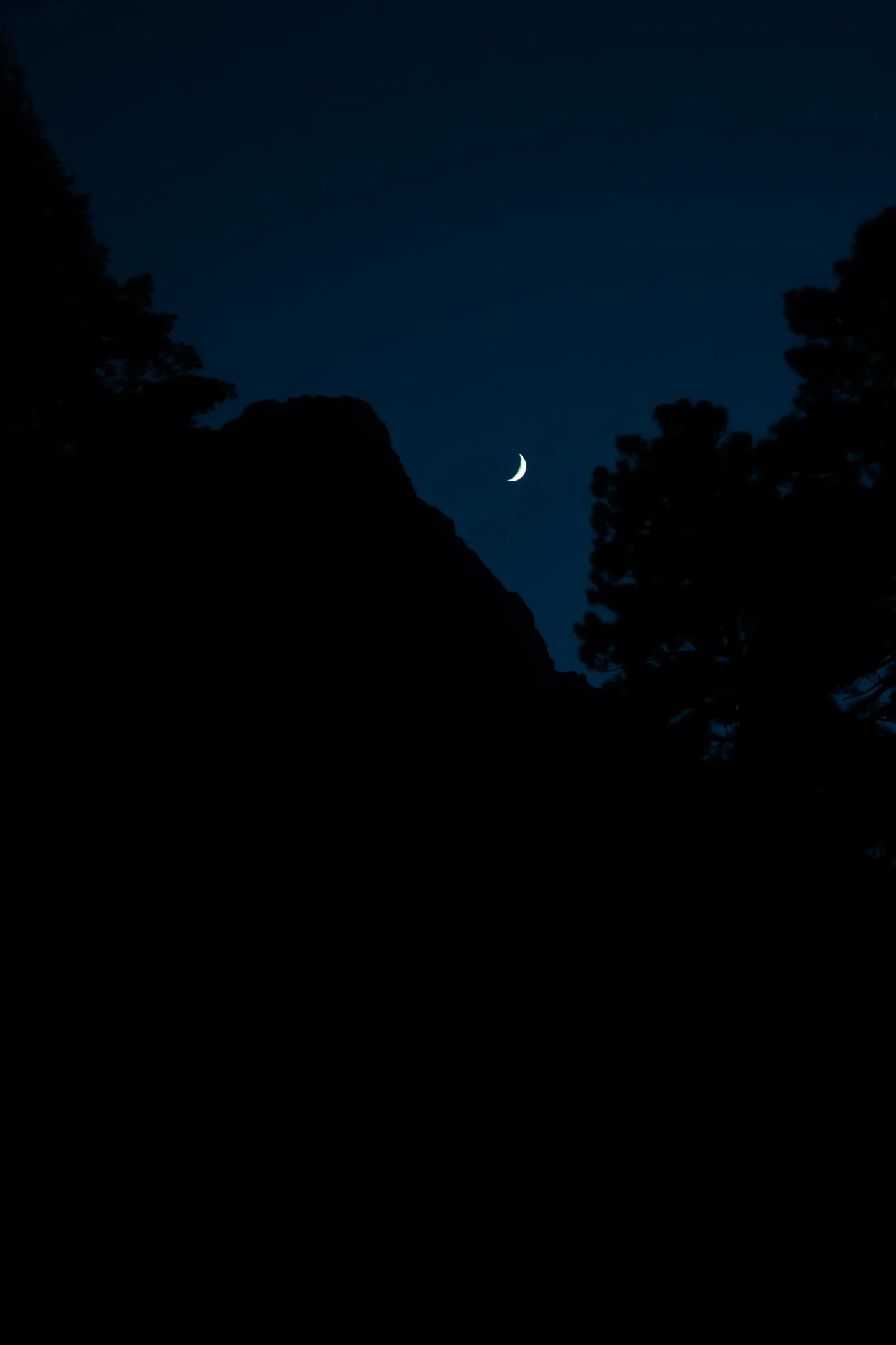 wishing I could have been practicing some star shooting this night but instead the moon was perfectly placed near Cathedral rock and some dope trees. pictures don’t really do it justice especially since I am still learning the hang of this camera thang but we learning.