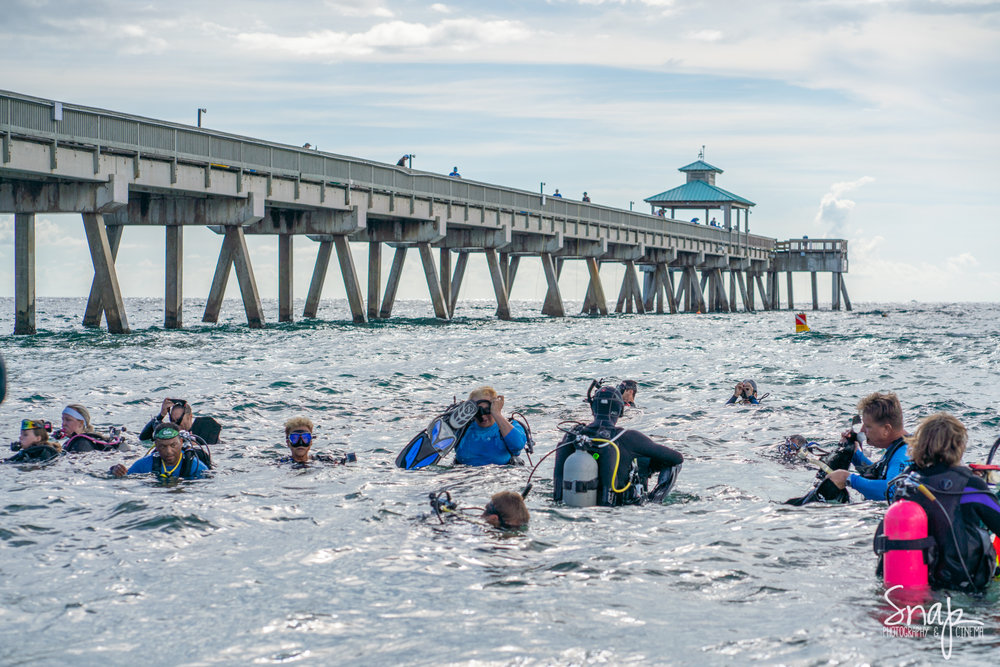 DixieDivers2019GuinnessWorldRecord (216 of 589).jpg