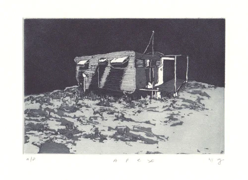 Apex&nbsp;2011Etching and aquatint on Hahnemuehle, edition 10,&nbsp;260 x 240mm.&nbsp;Printed by Antonia Aitken at The Art Vault