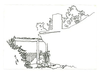 The Daily 11