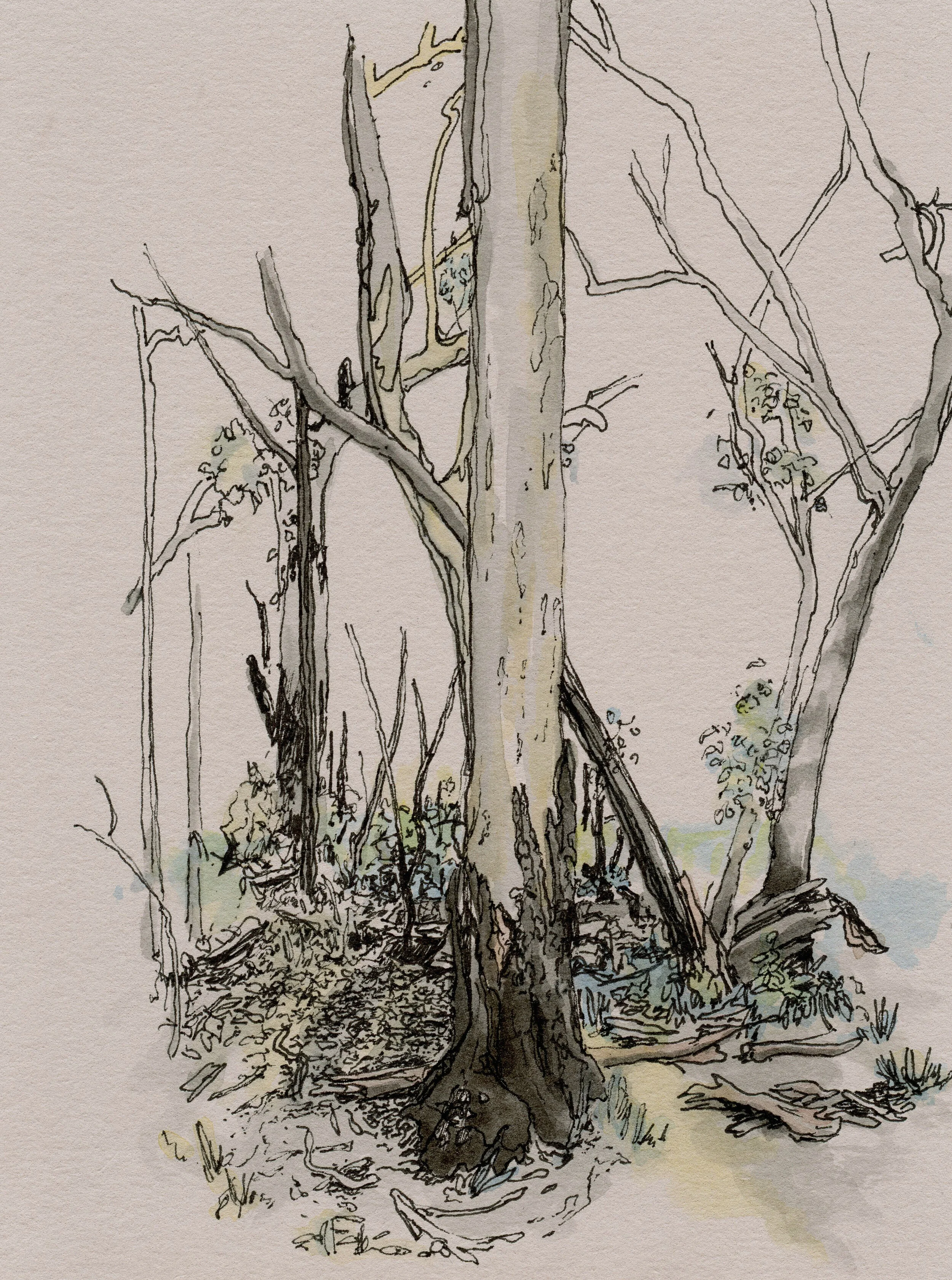 6:02 PM Sunday 11 October 2020, Ink pigment &amp; gouache on museum board, 16 x 12cm