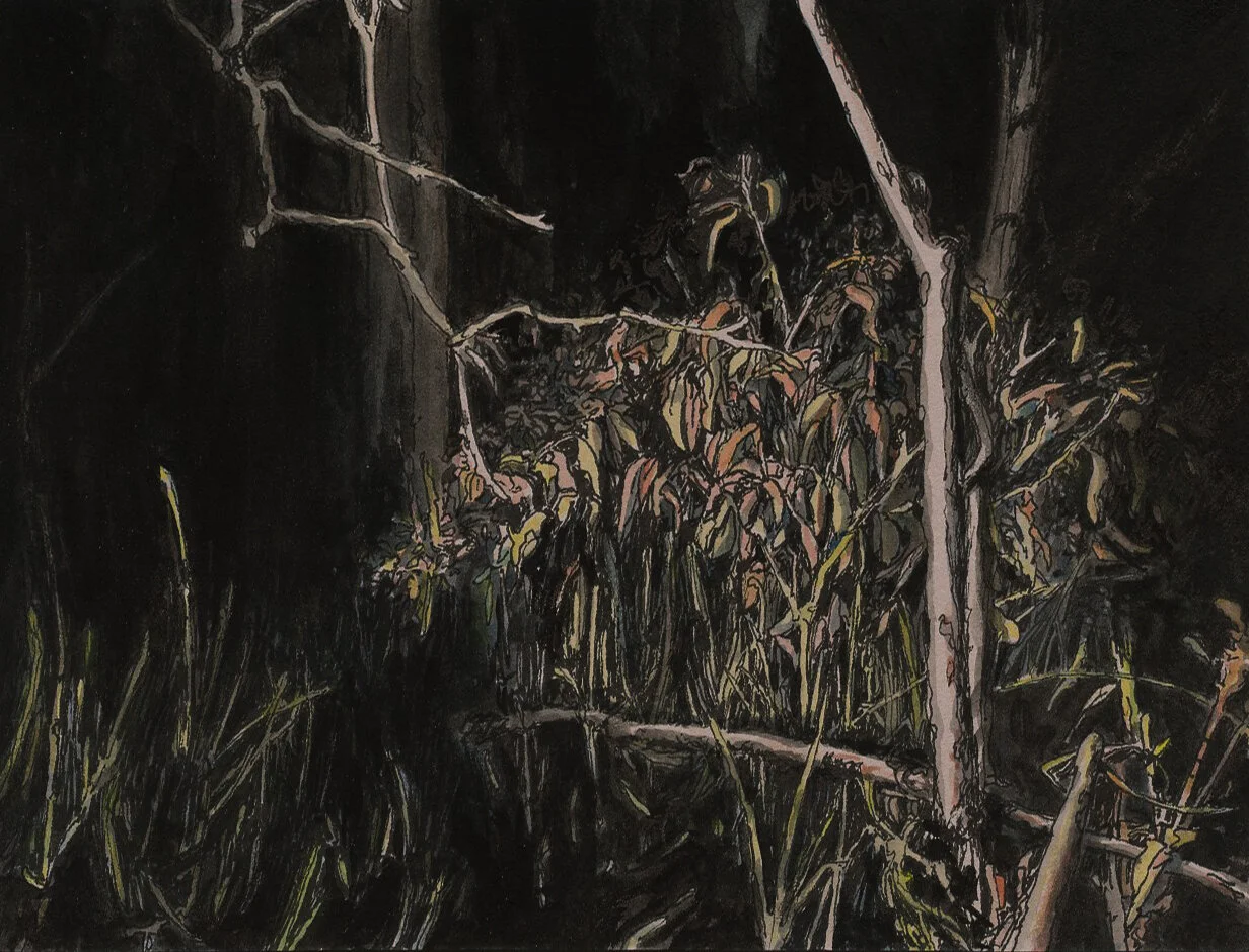 Daily Drawing Bundanon0001.jpg