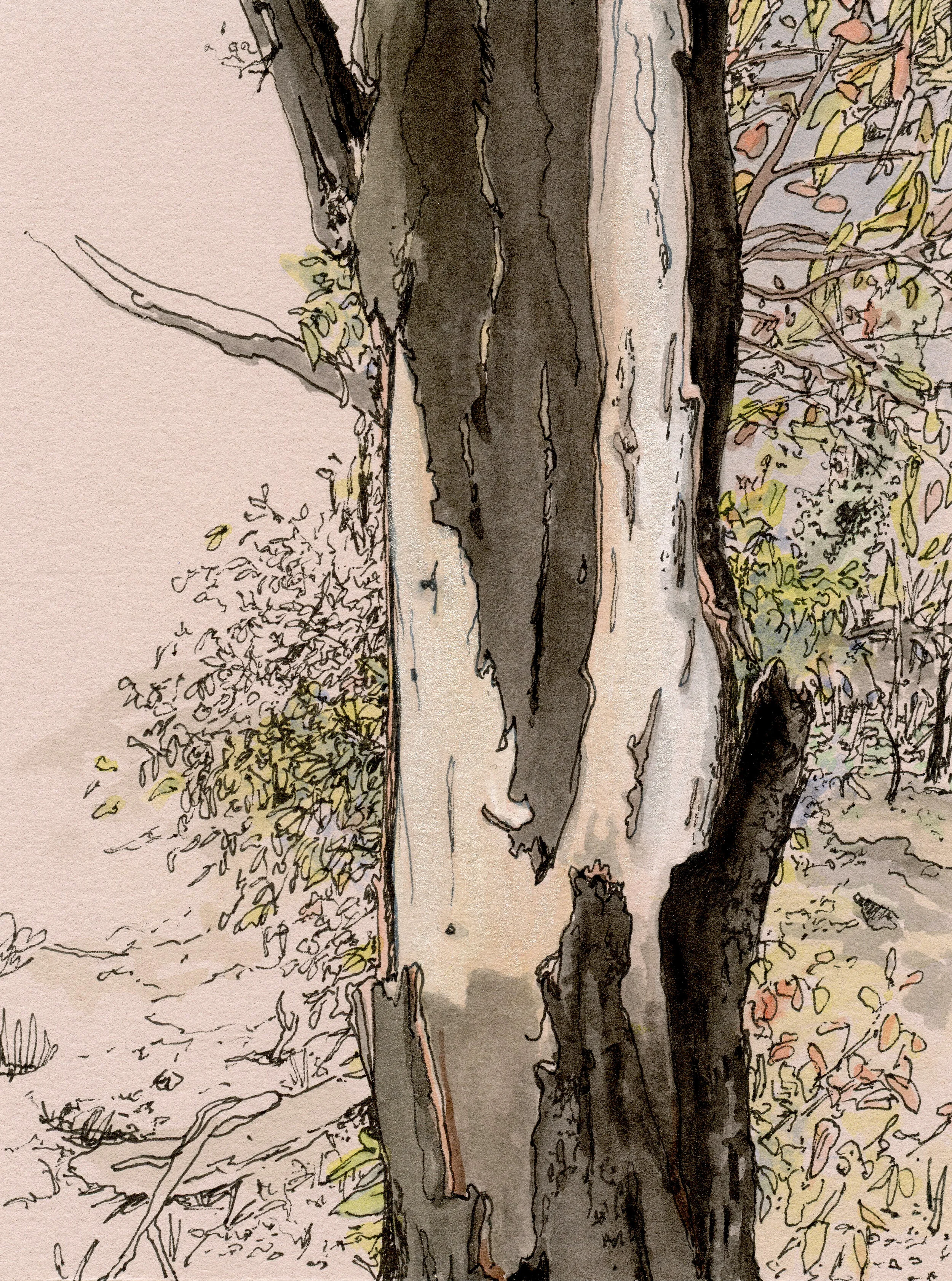 435PM_WEDNESDAY_7_OCTOBER_2020.jpg