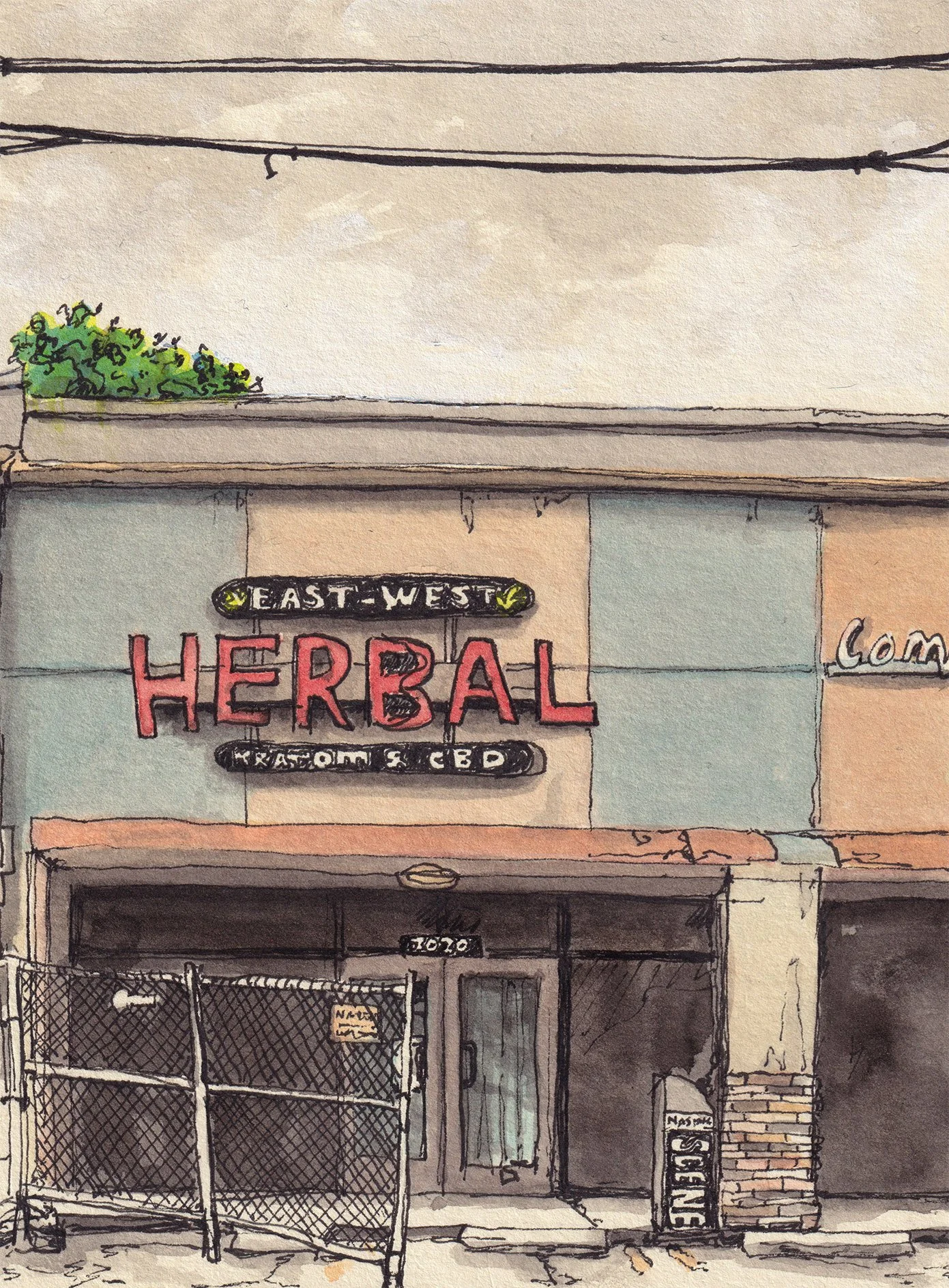 11:56AM WEDNESDAY 18 JUNE 2025