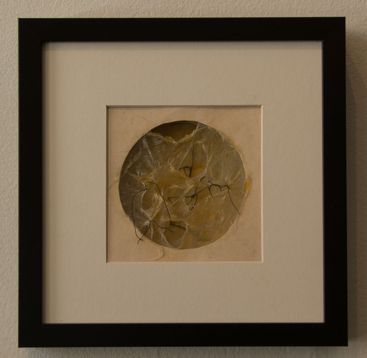 Images for Print 4x6 300ppi-5.jpg