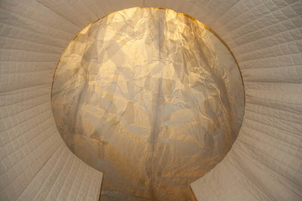 Nurture vs Neglect detail (editied).jpg