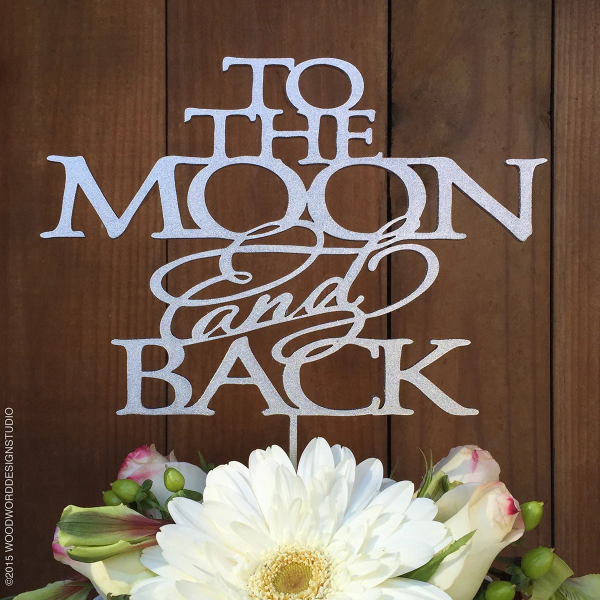 to the moon and back type.jpg
