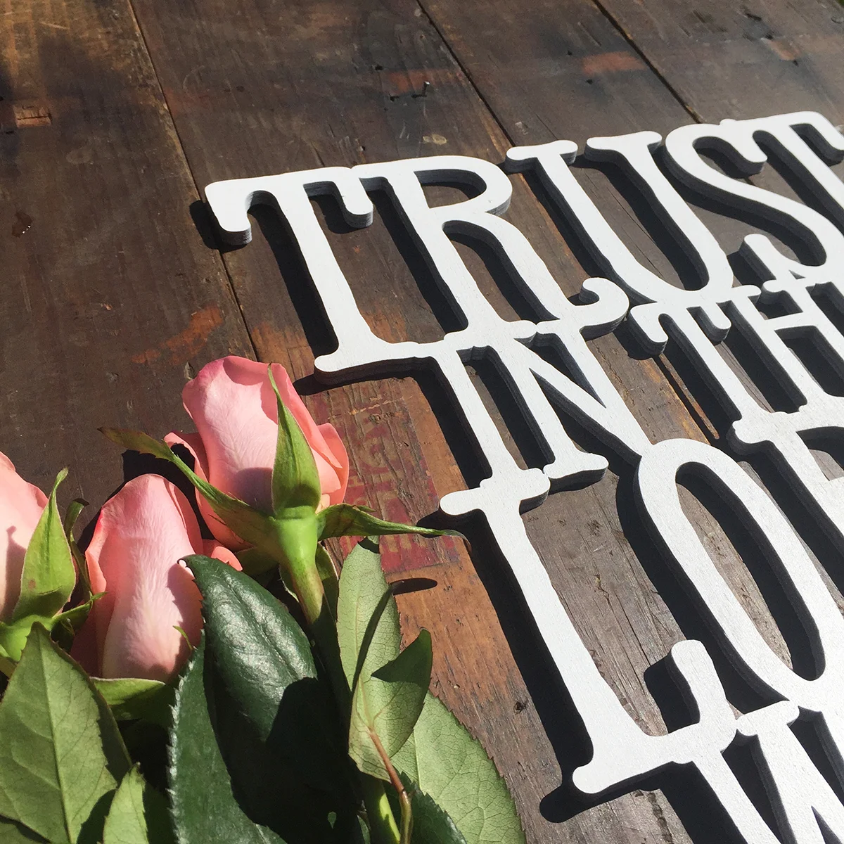 trust in the lord up close.jpg