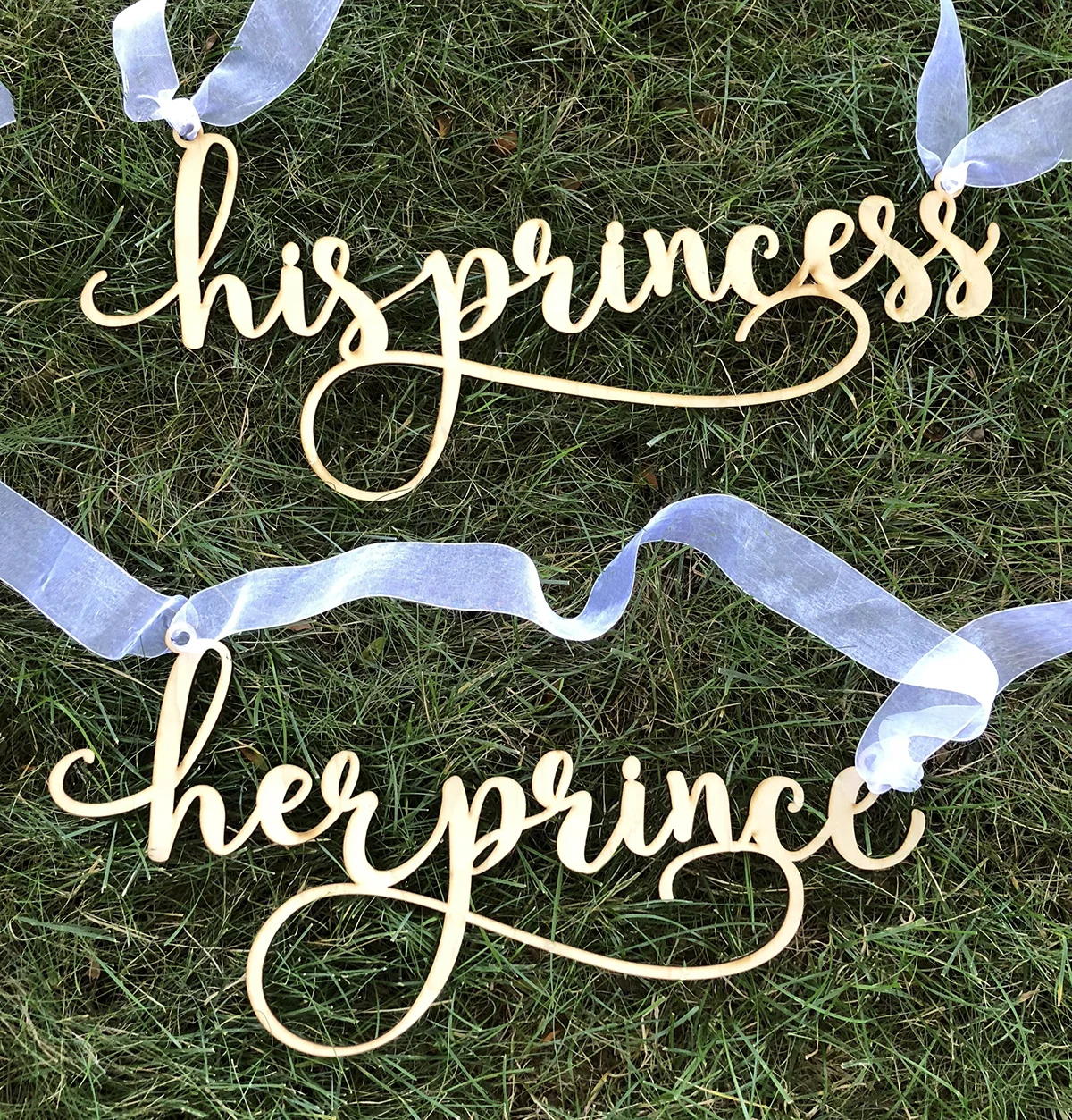 his princess in grass.jpg
