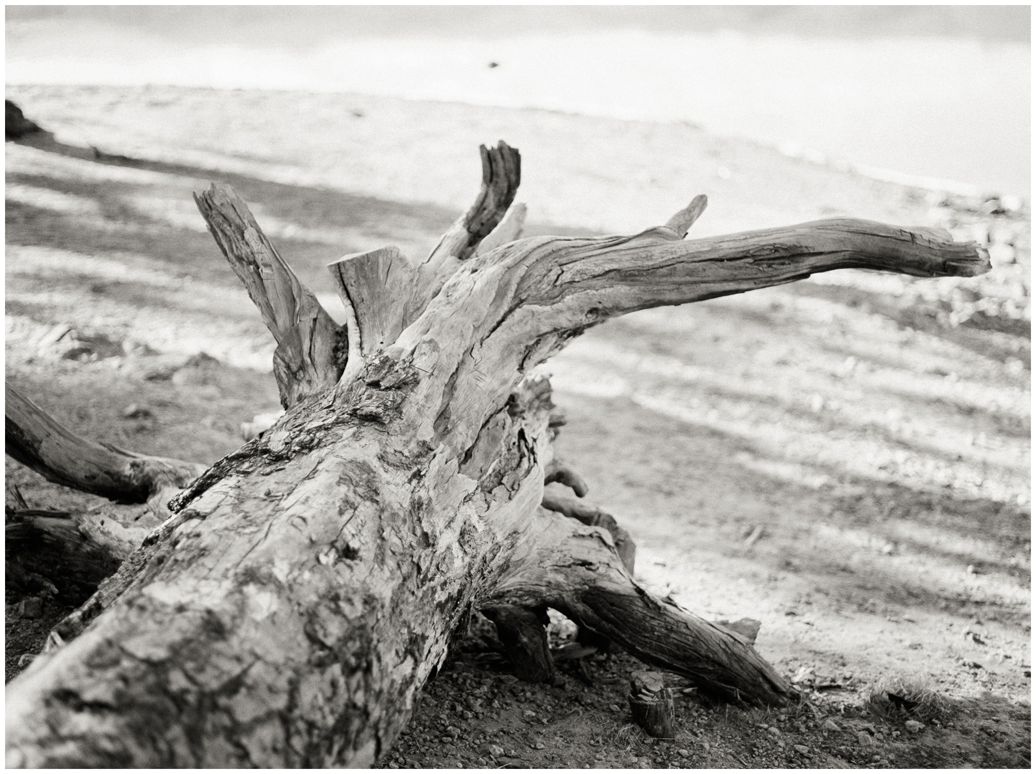 Emigrant Lake | Juliet Ashley Photography