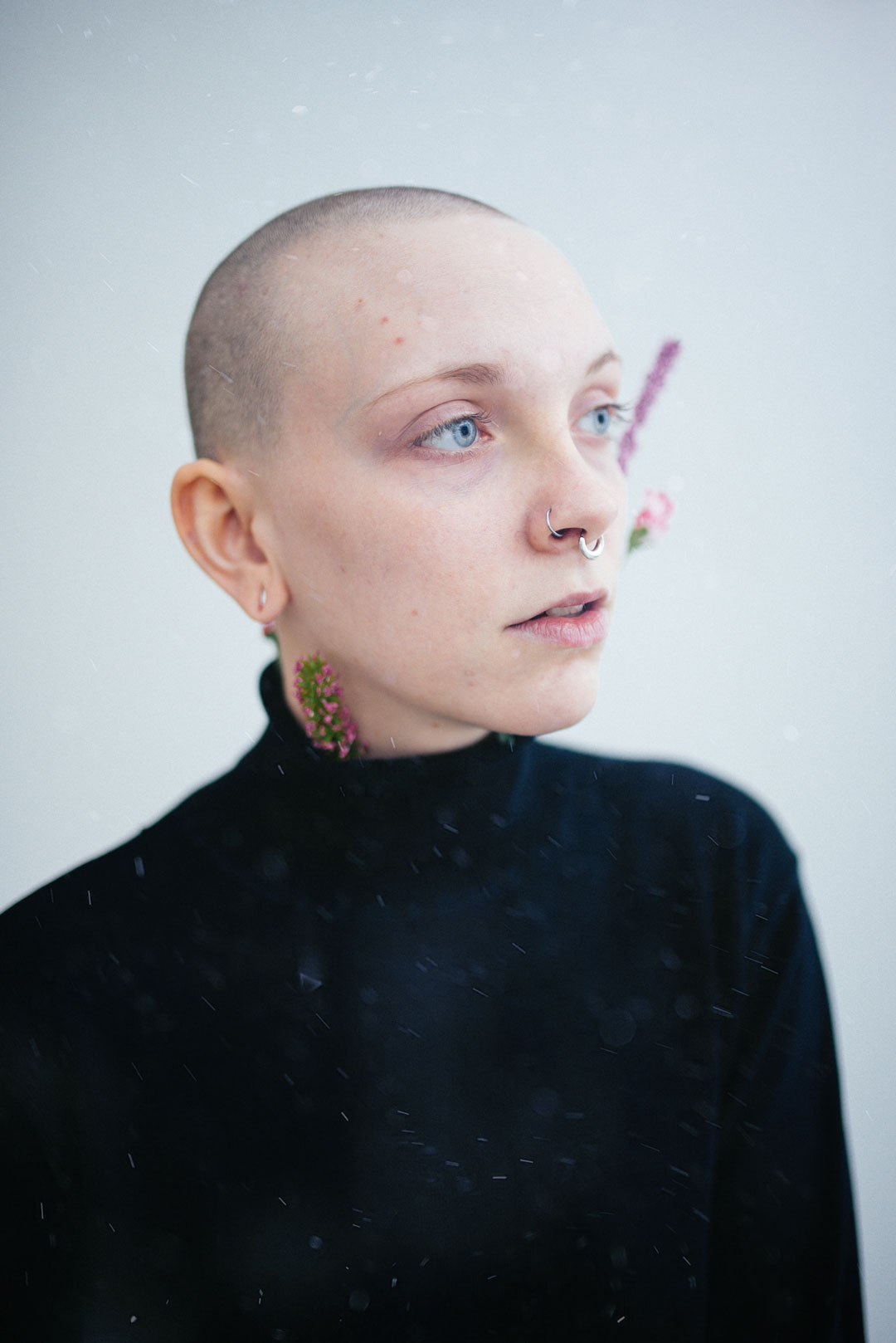 FLWR-Kelso-53-PS-overaly_web.jpg