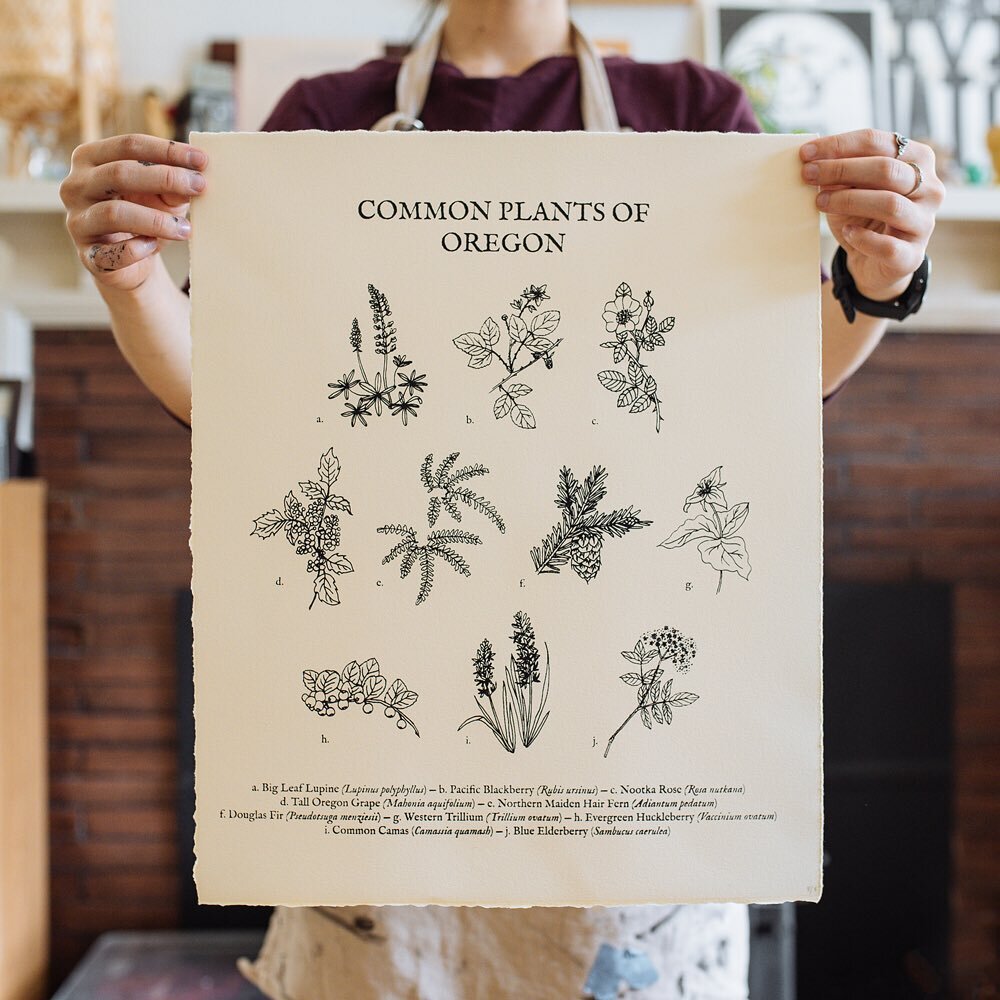 Finally got around to reprinting these &mdash; only four available currently! Link in bio for details. 🌾✨
.
.
.
.
.
.
.
.
.
.
#screenprinting #silkscreen #screenprint #printmaking #prints #plants #supportthemakers #graphicdesign #ink #portlandoregon