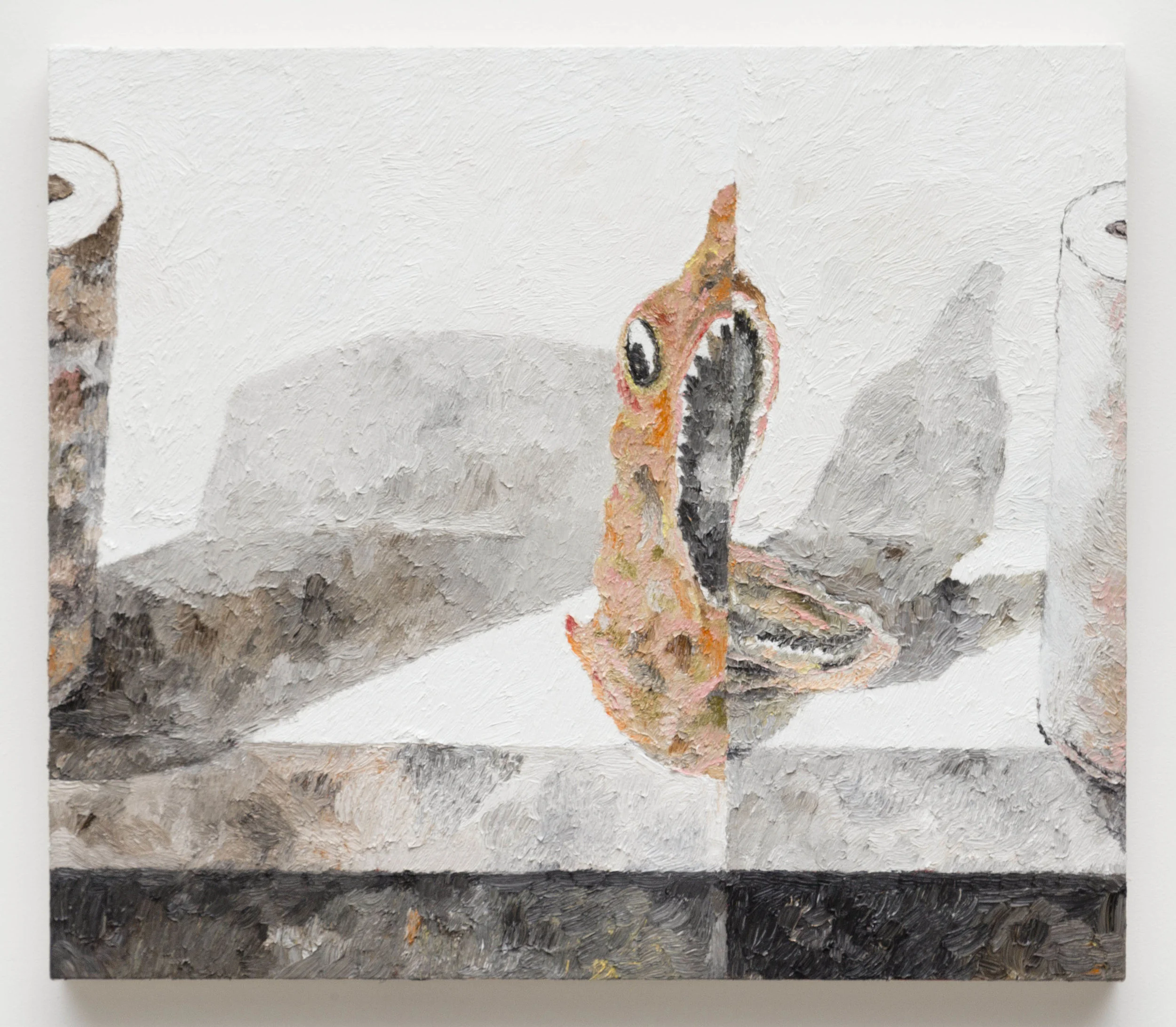 White Shelf, Sharks Head, 2017 Oil on canvas 26 x 30 inches