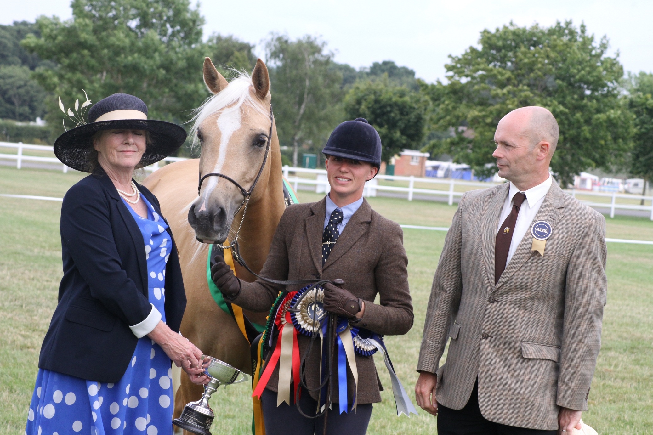 BPS Supreme Champion Sameon Sun Silhouette