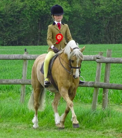 Pembrokeshire County Show