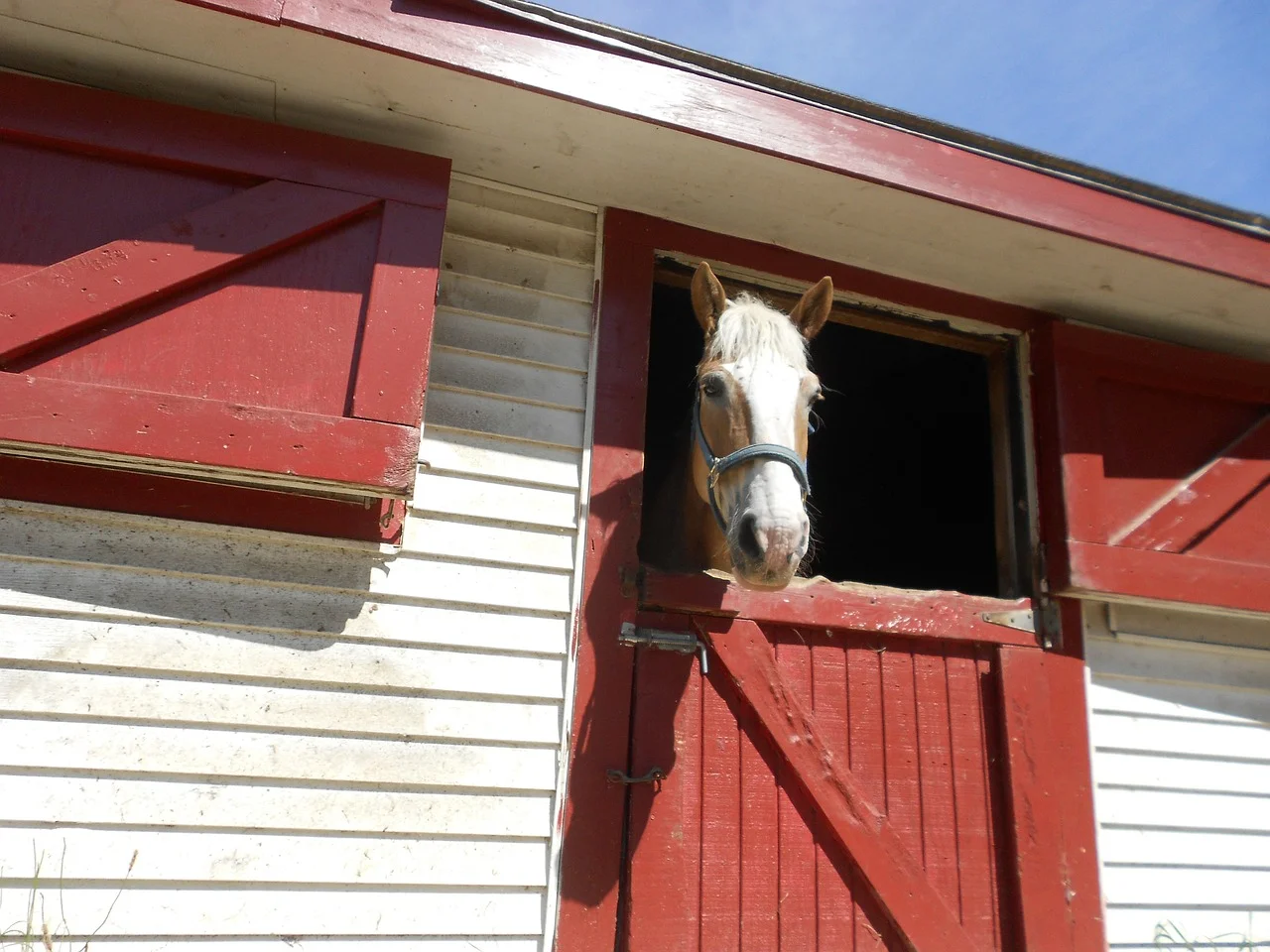 Stable.jpg