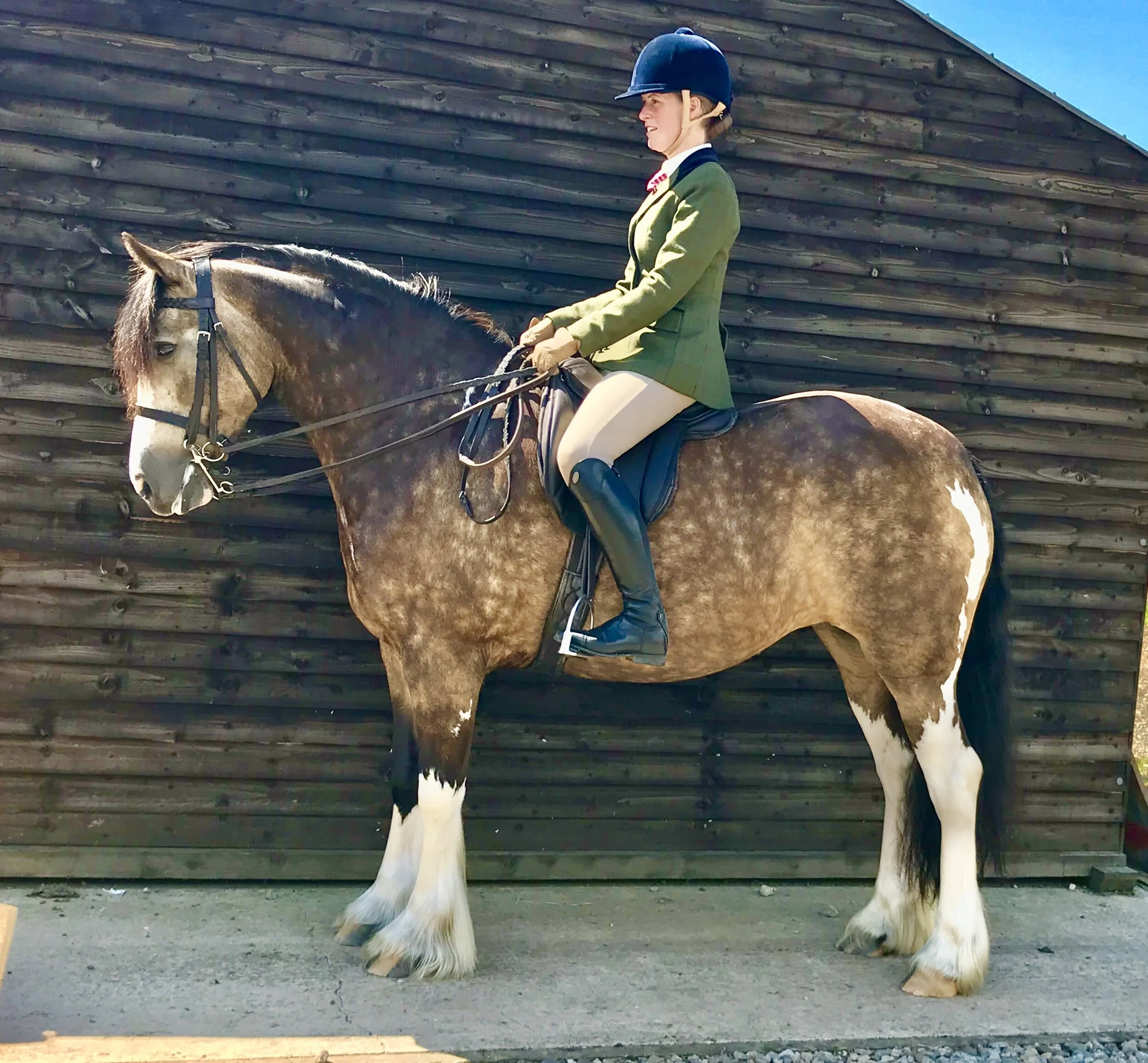 Virtual Summer Show Results